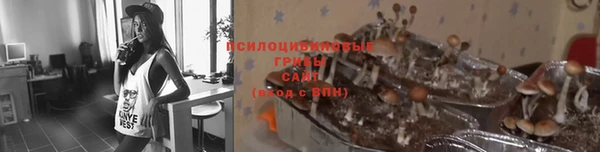 гидропоника Алзамай