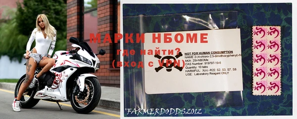 гидропоника Алзамай