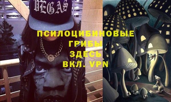 гидропоника Алзамай